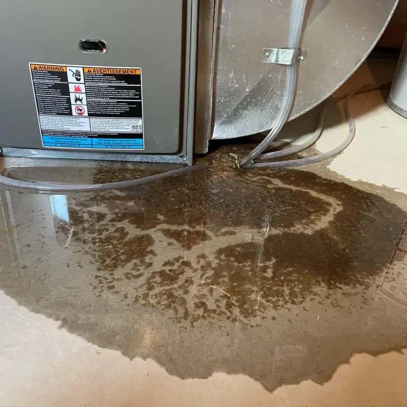 Appliance Leak Cleanup in Kent County, RI